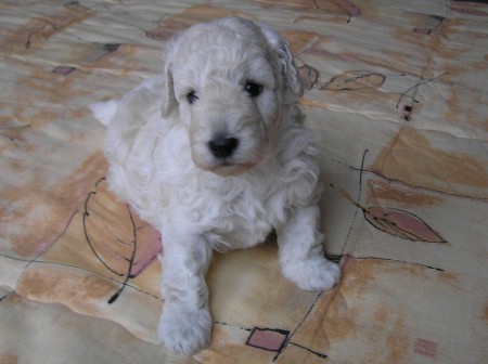 27. den: Už jsem kilový chlapák...